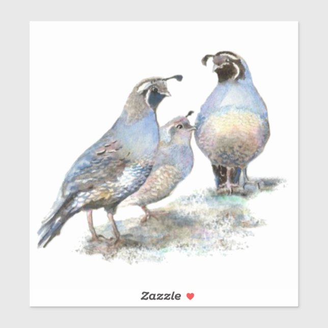 Adesivo Watercolor California Quail Bird Nature Willife (Folha)