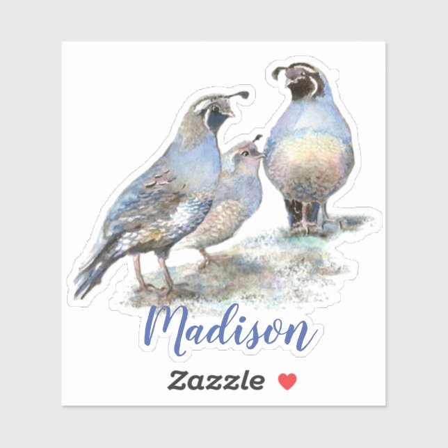 Adesivo Watercolor California Quail Bird Nome Personalizad (Folha)