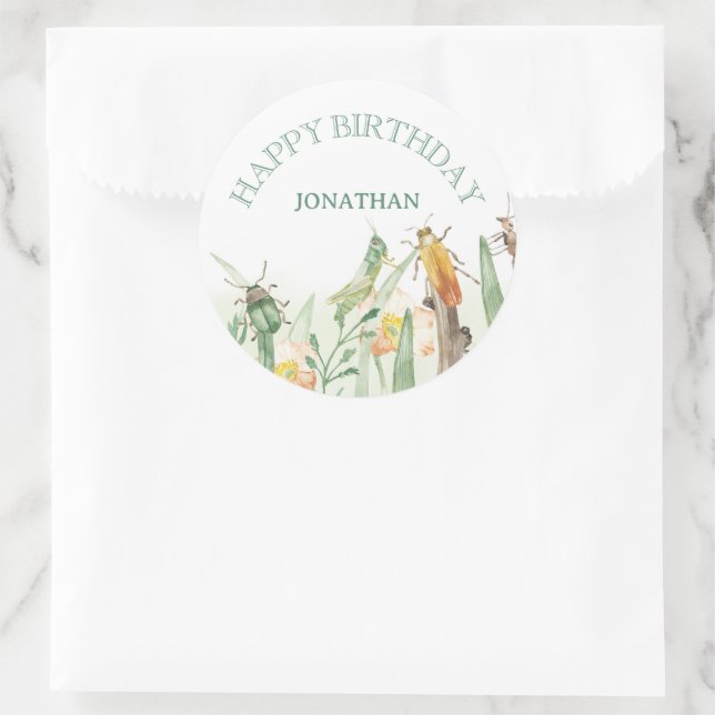 Adesivo Watercolor Child's Bug Insect Birthday (Bolsa)