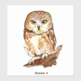 Adesivo Watercolor Owl Bird Willife Nature Art