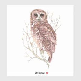 Adesivo Watercolor Owl Wildlife Bird Nature Art