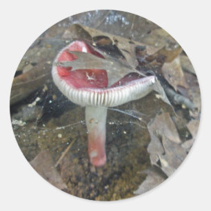 Adesivo Web Stickers Red Mushroom e Folhas