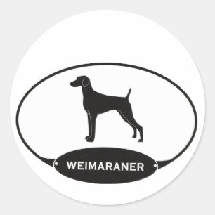 Adesivo Weimaraner