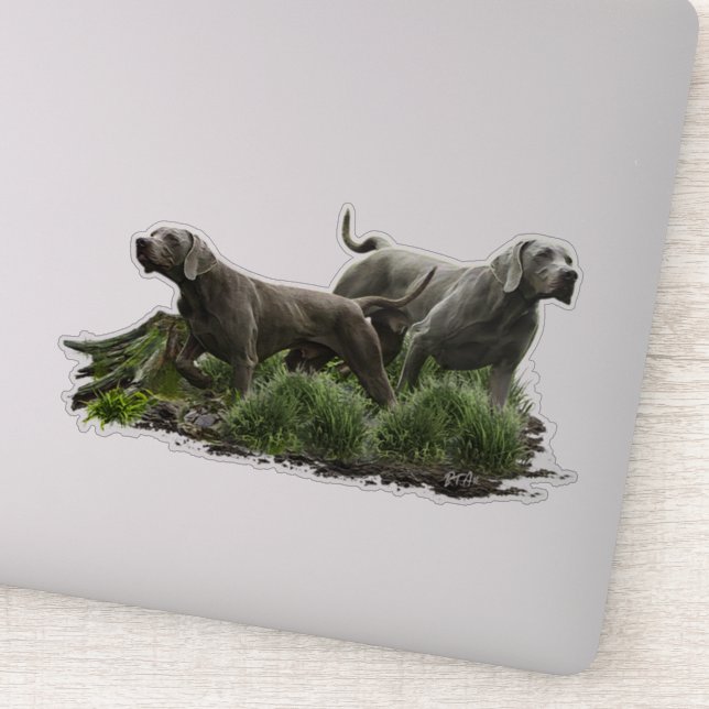 Adesivo Weimaraner, "Cinza Fantasma" (Detalhe)