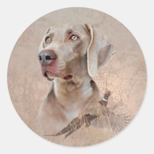 Adesivo Weimaraner Poster Canvas Imprimir Tapeçaria Acrí