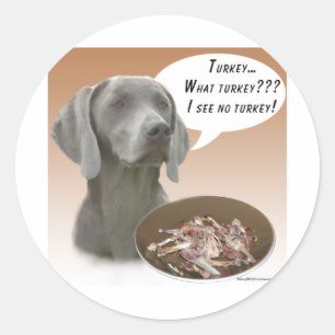 Adesivo Weimaraner Turquia