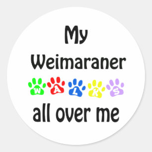 Adesivo Weimaraner Walks Design