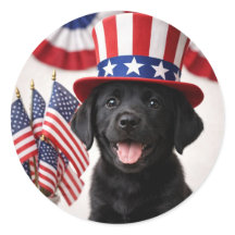 Welcome New U.S. Citizen Patriotic  Round Sticker 