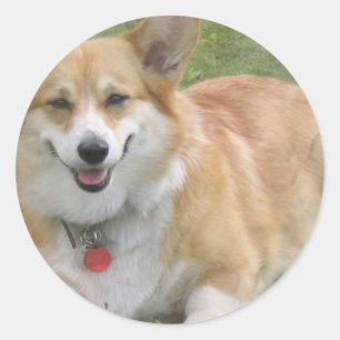 Adesivo Welsh Corgi Sticker