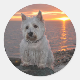 Adesivo Westie Sunset