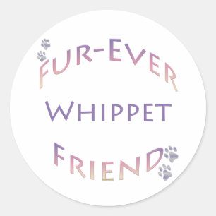 Adesivo Whippet Fuever Amigo