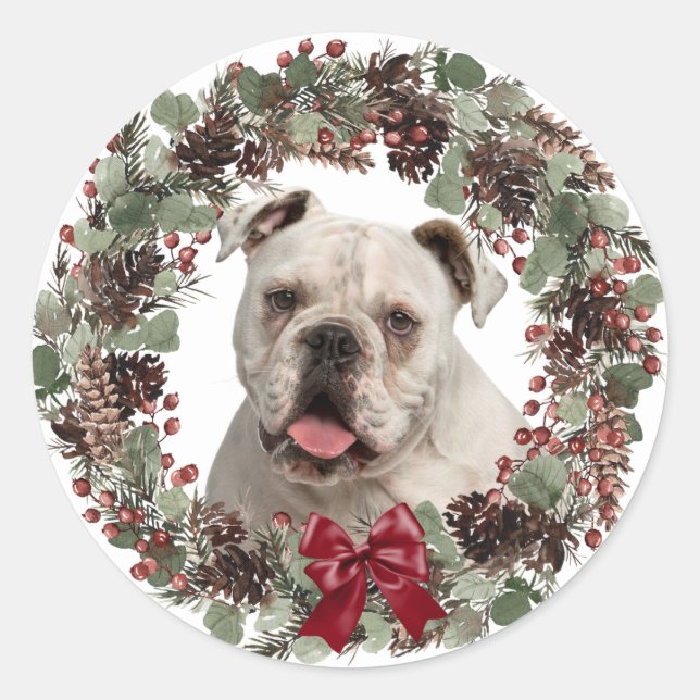 Adesivo White Buldogue Pinecone Wreath Christmas (Frente)