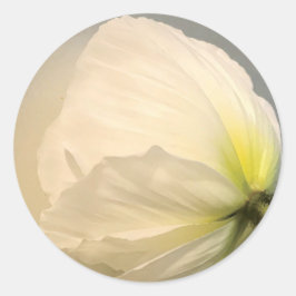Adesivo White Poppy