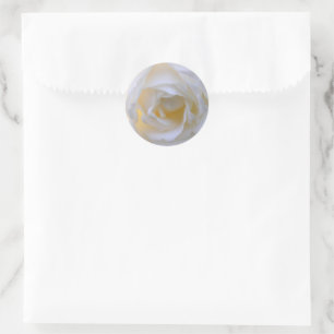Adesivo White rose, foco suave
