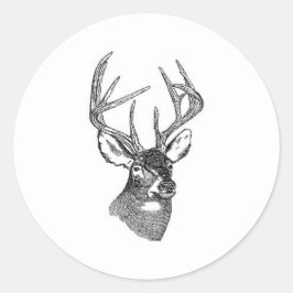 Adesivo White Tail Deer Trophy Buck