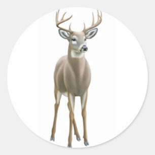Adesivo Whitetail Buck Sticker