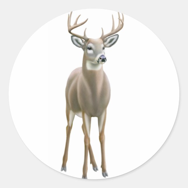 Adesivo Whitetail Buck Sticker (Frente)