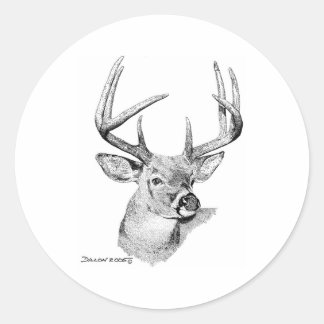 Adesivo Whitetail Deer