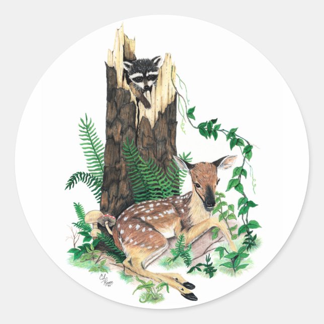 Adesivo Whitetail Deer Fawn e Raccoon Sticker (Frente)