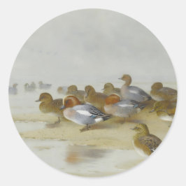 Adesivo Wigeon e Teal pela borda da água, Arte