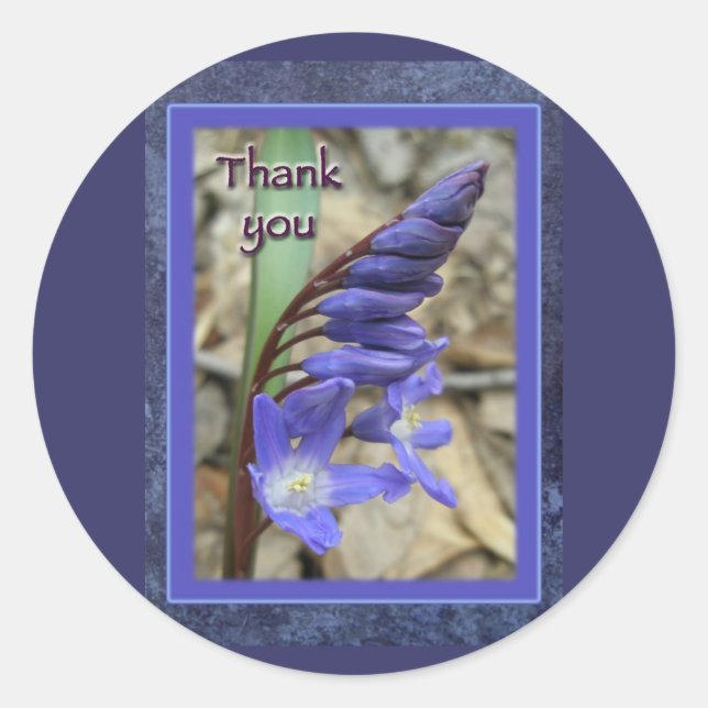 Adesivo Wild Blue Hyacinth Obrigado (Frente)