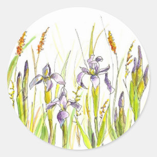 Adesivo Wild Iris Purple Wildflower Sketch