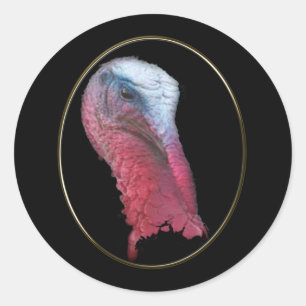 Adesivo Wild Turkey Head