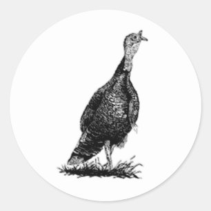 Adesivo Wild Turkey (line art)