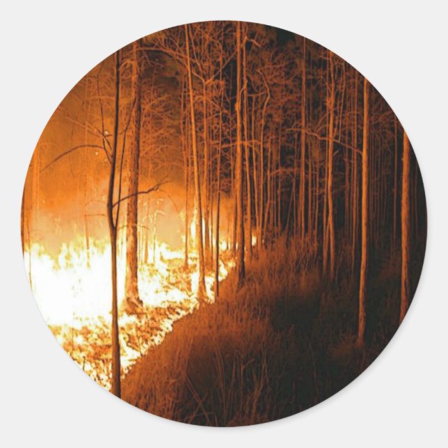 Adesivo Wildfire Blaze (Frente)
