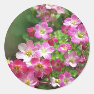 Adesivo wildflower 1