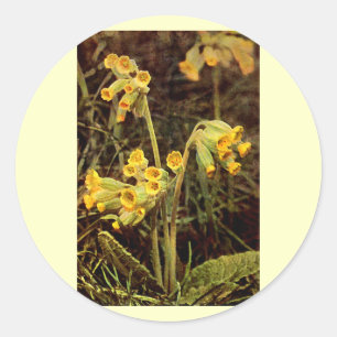 Adesivo Wildflower: Cowslip