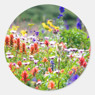 Adesivo Wildflowers