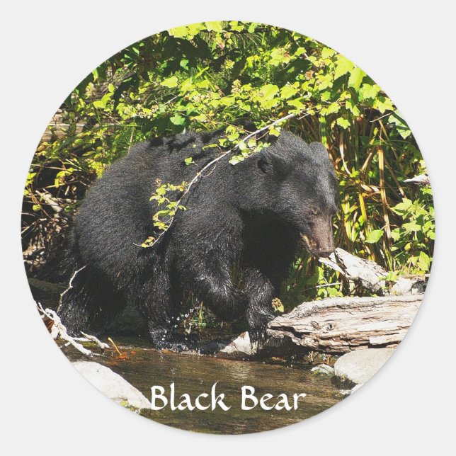 Adesivo Wildlife Bears Design (Frente)