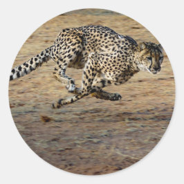 Adesivo Wildlife Cheetah Running Photo