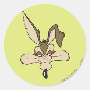 Adesivo Wile E. Coyote Atirou Na Cabeça
