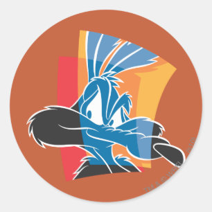 Adesivo WILE E. COYOTE™ Express 22