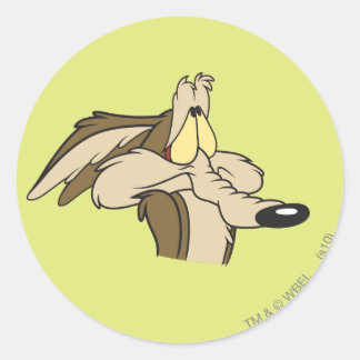 Adesivo WILE E. COYOTE™ - Perda