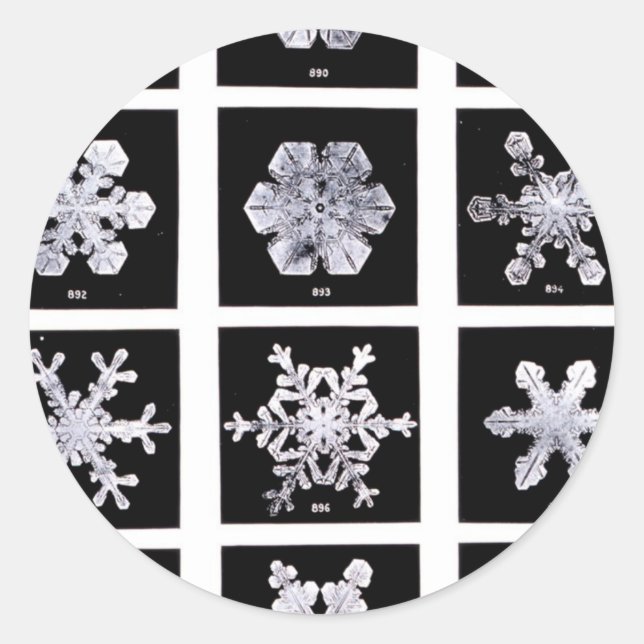 Adesivo Wilson Bentley Snowflakes (Frente)