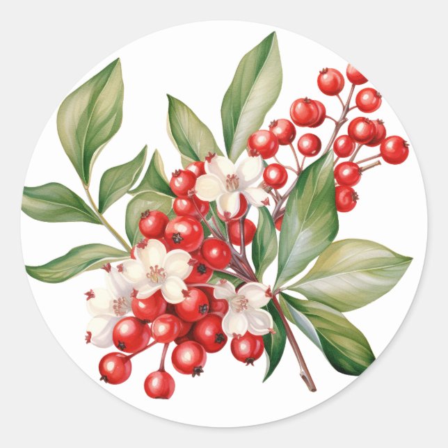 Adesivo Winter Berry Stickers (Frente)