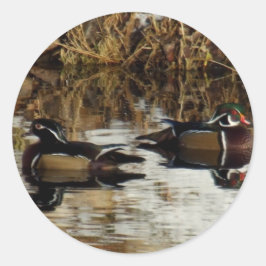 Adesivo Winterducks14by11