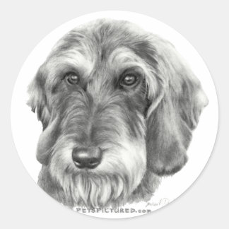 Adesivo Wire-Haired Dachshund