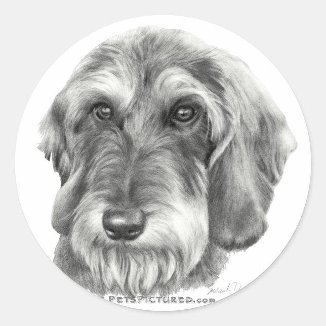 Adesivo Wire-Haired Dachshund (Frente)
