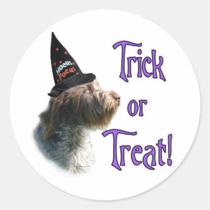 Adesivo Wirehaired Pointing Griffon Trick
