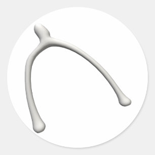 Adesivo Wishbone