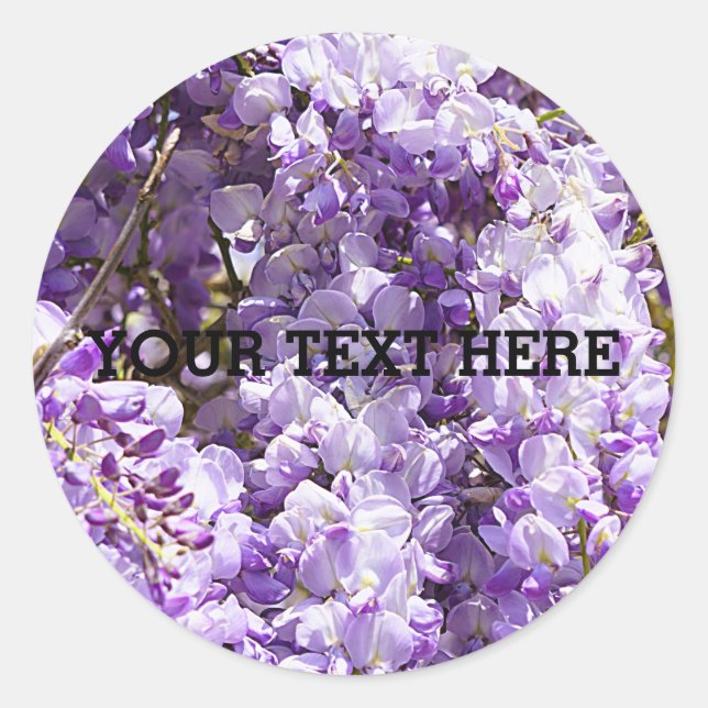 Adesivo Wisteria Purple Floral Flor Tree Violet (Frente)