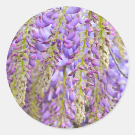 Adesivo Wisteria Purple Floral Flor Tree Violet