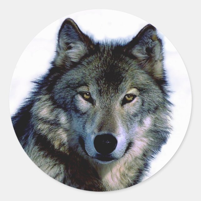 Adesivo Wolf Portrait (Frente)