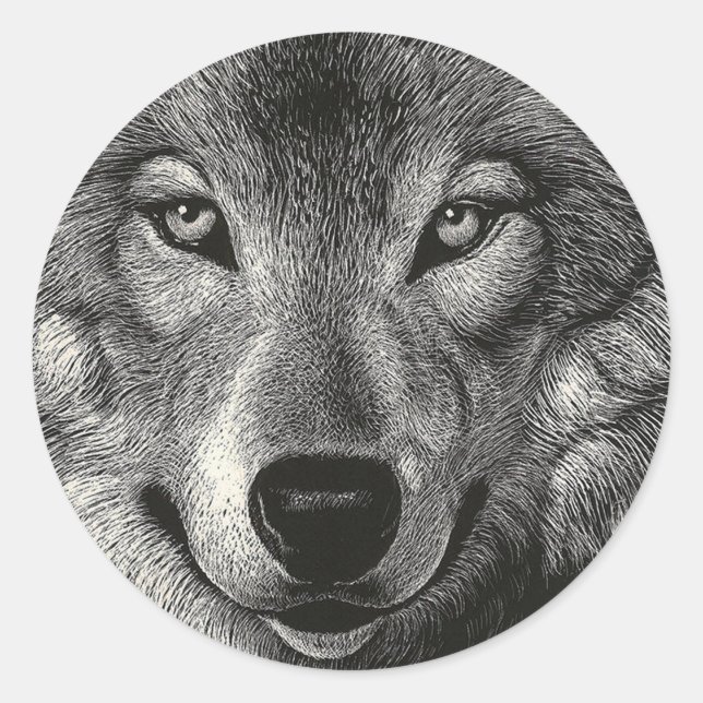 Adesivo Wolf Sketch (Frente)