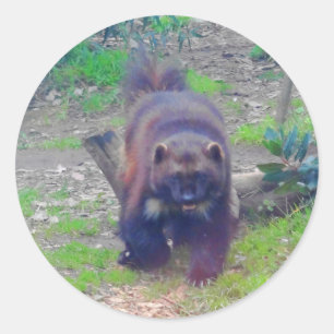 Adesivo Wolverine nº 1 Stickers