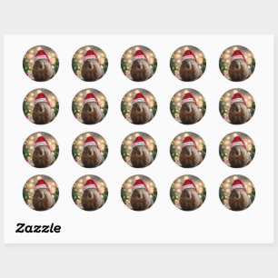 Adesivo "Wombat Wonderland: A Cozy Christmas Eve"